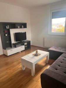 诺维萨德Apartman Sunce Novi Sad的带沙发和咖啡桌的客厅