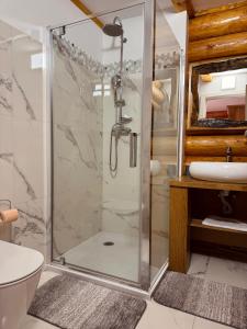 a bathroom with a shower and a sink at Cabana 9 in Borşa