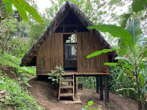 Κήπος έξω από το Tuqtuquilal - Cacao & Regenerative Center +61 φωτογραφίες