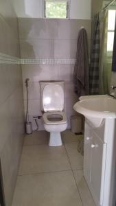 ein Badezimmer mit einer weißen Toilette und einem Waschbecken in der Unterkunft La Comarca Tinyhouse Monoambiente in Puerto Iguazú + 1 Foto