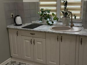 Η κουζίνα ή μικρή κουζίνα στο Premium Apartment on Kobylianska Street - City Center +4 φωτογραφίες