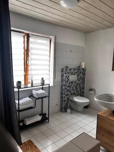 łazienka z toaletą i umywalką w obiekcie Ferienwohnung in Rheinfelden an der Grenze zur Schweiz w mieście Karsau