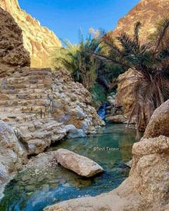 a river in a desert with rocks and palm trees at Dar Ben Othman in Tozeur