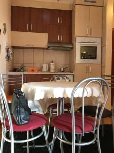 a kitchen with a table and chairs in a kitchen at Apartment Linda in Zlatibor