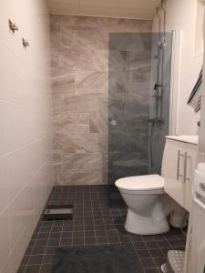 a bathroom with a toilet and a shower at The other side of the CLT semi-detached house, with a separate SPA in Lahti