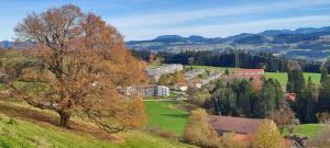 シャイデックにあるFerienwohnung Allgäu-Harmonie - Pool, Sauna, Bergblick, 2 Zimmerの木のある丘の上の小さな町