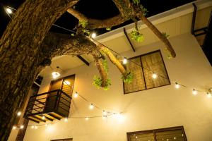 Φωτογραφία από το άλμπουμ του The Brown House σε Oaxaca City