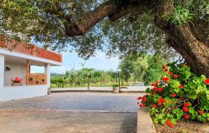 Κήπος έξω από το 2 Bedroom Nice Apartment In Casal Velino +11 φωτογραφίες