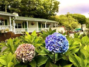 Gallery image of Sunny Room with a Private Deck in a Bed and Breakfast near Camden Hills State Park, Maine in Lincolnville