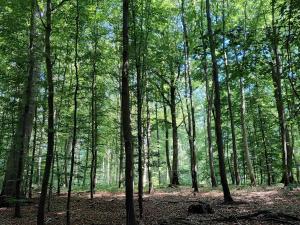 Fotografie z fotogalerie ubytování 4 star holiday home in Vedbæk v destinaci Vedbæk