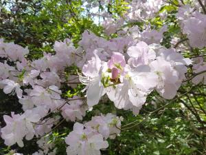 Fotografie z fotogalerie ubytování 4 star holiday home in Vedbæk v destinaci Vedbæk + 31 fotografií