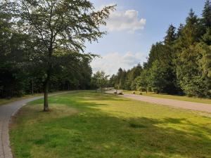 Příroda nedaleko prázdninového domu