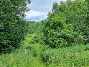 Příroda nedaleko prázdninového domu + 20 fotografií