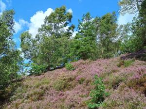 Příroda nedaleko prázdninového domu