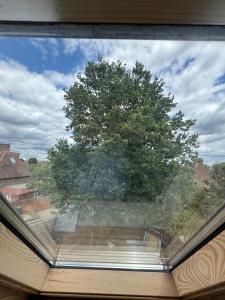 a view of a tree from a window at Central London double bed apartment Free Parking Incl Stays upto 6 in London