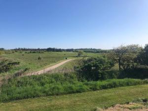 Příroda nedaleko prázdninového domu + 30 fotografií