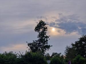 Glesborgにある14 person holiday home in Glesborg-By Traumの空を背景にした木