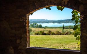 Gallery image of Agriturismo Poggio Antico in Binami