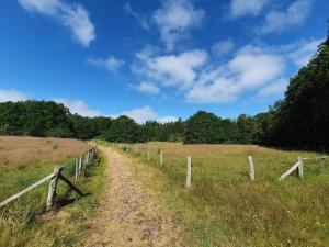 a dirt road in a field next to a fence at 8 person holiday home in Ørsted-By Traum in Kare