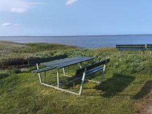 two benches and a picnic table on the grass near the water at 8 person holiday home in Ørsted-By Traum in Kare