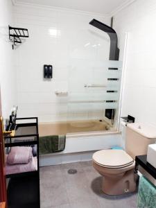 a bathroom with a shower and a toilet and a tub at Confortable y luminoso apartamento in Valladolid