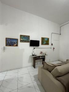 尤西德福拉Apartamento lindo e maravilhoso na Rua Santa Rita centro de Juiz de Fora的客厅里有一张沙发，墙上有一台电视