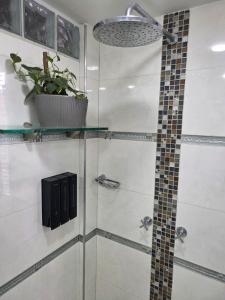 a shower with a glass door with a potted plant at Freyja Hostal Boutique - Café Bistró in Bogotá +76 photos