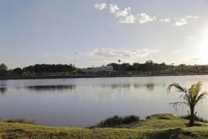 un lac avec un palmier au milieu dans l'établissement Beira Lago Palace Hotel, à Morrinhos