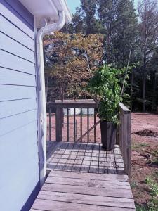 a porch with a potted plant sitting on it at Tree of life in Temple