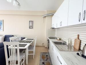 Kuchyň nebo kuchyňský kout v ubytování Shkodra Apartment + 11 fotografií