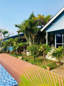 Κήπος έξω από το Orchid bokor guest house