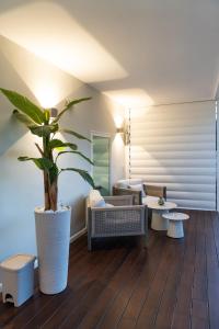 a living room with a plant in a large pot at Dimora Botanica in Naples