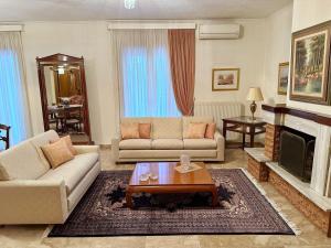 a living room with two couches and a fireplace at Urban Elegance - Trikala in Tríkala