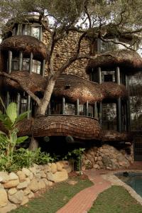 Κήπος έξω από το The Santa Barbara Whale House