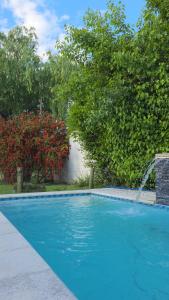 a large blue swimming pool with trees and water at Quinta Los Sauces in San Miguel del Monte
