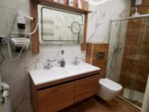 a bathroom with a sink and a shower and a toilet at Apartments Ro Ma A2 in Novo Selo Požeško