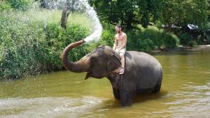 Un hombre montado en el lomo de un elefante en el agua. en Villa Sea Breeze, en Beruwala