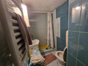 mała łazienka z toaletą i prysznicem w obiekcie Spavaca soba s zajednickim kupatilom Ja spavam u prolaznoj dnevnoj sobi w Belgradzie