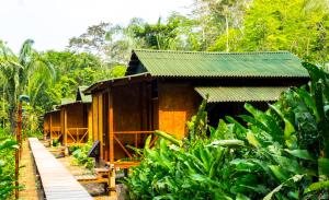 Gallery image of Amazon Planet in Tambopata