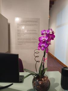 Un televizor și/sau centru de divertisment la Hobi Hotel Boutique