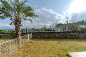 una palmera y un muro de piedra con una valla en Jeju Aewolae Hyuyang Pension, en Haga-ri