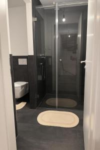 a bathroom with a glass shower and a toilet at Haus am Vogesenblick - Ihr Zimmer mit Aussicht in Bad Bellingen