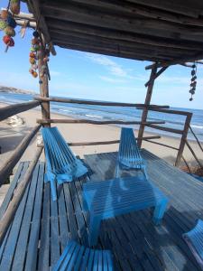 Příroda nedaleko apartmánu + 15 fotografií