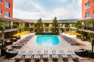 uma piscina exterior com espreguiçadeiras e guarda-sóis em Hotel Zaza Houston Museum District em Houston