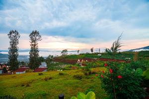 a green hill with trees and a field with flowers at Khanzana Cabin and Camp in Kejajar +19 photos
