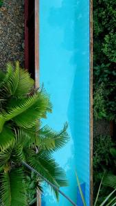 a glass wall with a reflection of a palm tree at At Home in Puerto Princesa City