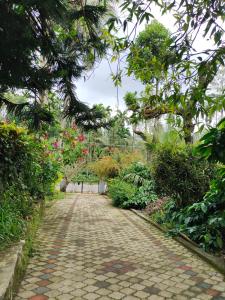 Zahrada ubytování Cozy 1BKH House in a Coffee Estate in Chikmaglur