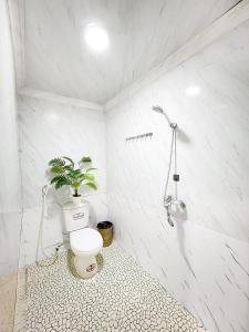 河内NOOK INN Hidden Gem Old Quarter的一间带卫生间和植物的浴室