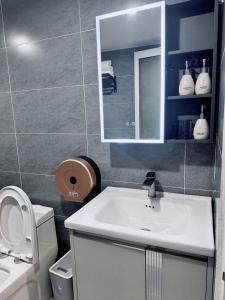 a bathroom with a sink and a toilet and a mirror at Khách sạn Thy Thảo 3 in Ho Chi Minh City
