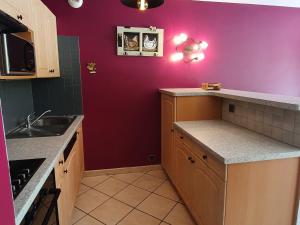 eine Küche mit lila Wänden und einer Arbeitsplatte in der Unterkunft Appartement chaleureux 4 pièces, 5 pers, parking - FR-1-676-239 in Châtel